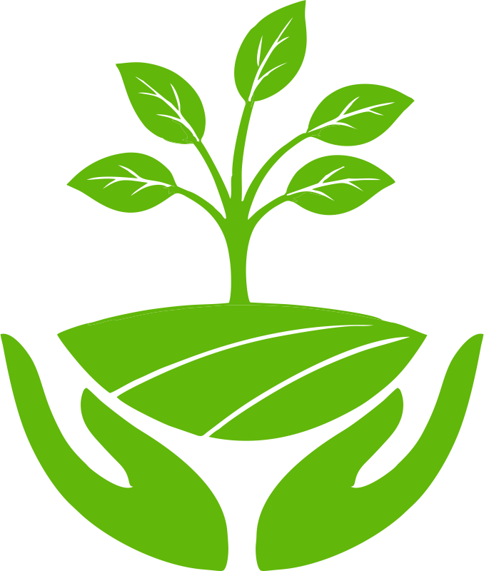 Organic Image
